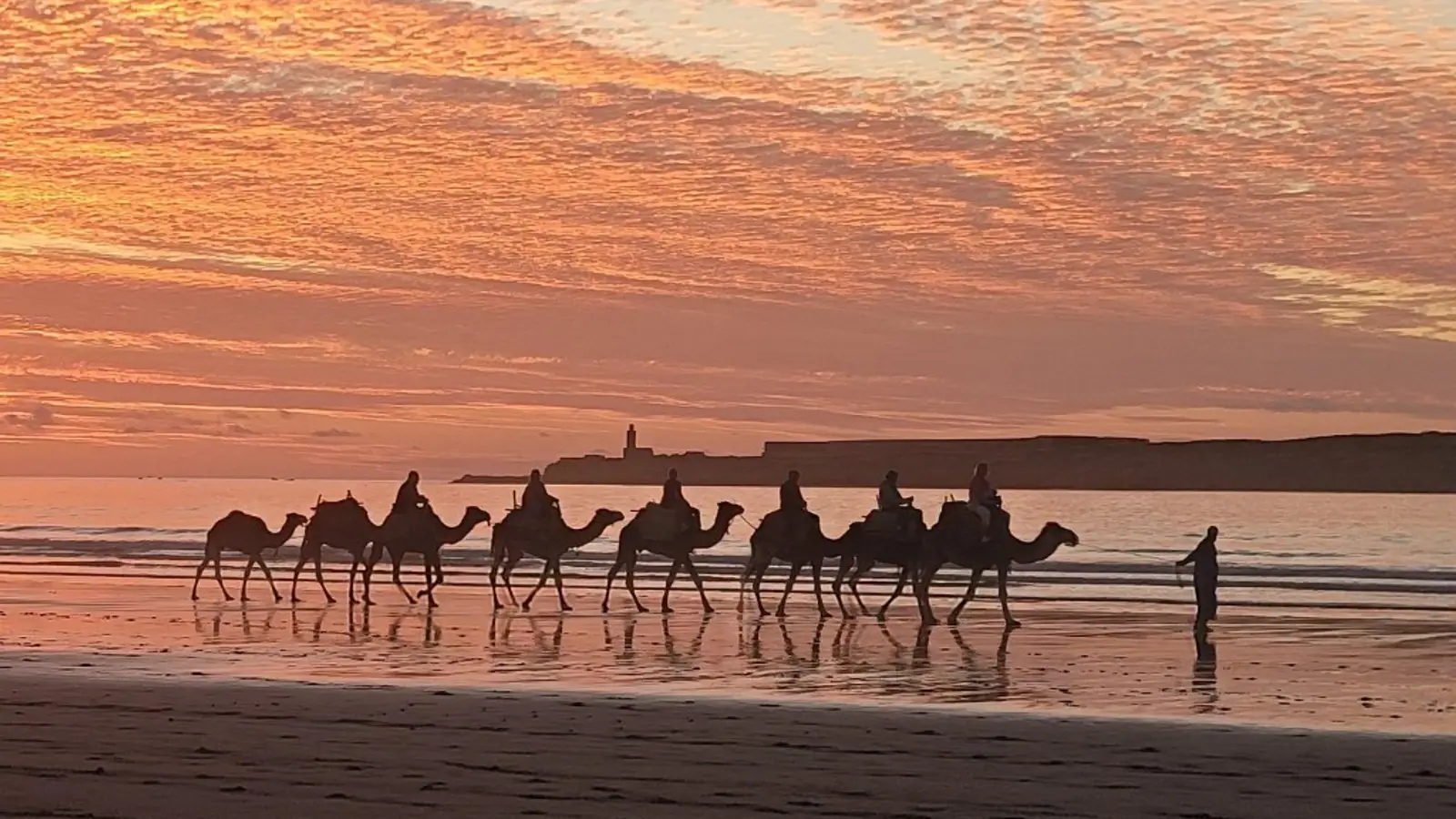 Camel ride at sunset on Essaouira beach