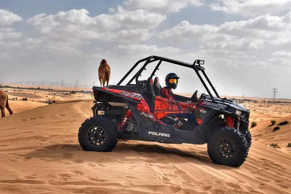 Buggy tout-terrain sur les dunes côtières d’Essaouira