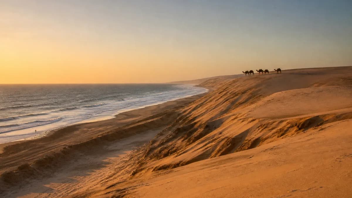 Coastal dunes and Atlantic ocean with camels near Agadir